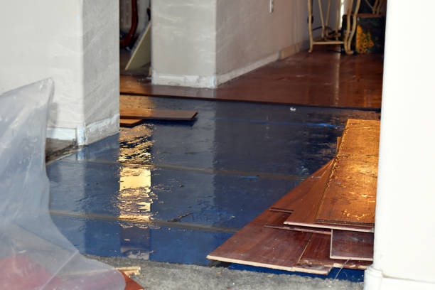 Professional Burst Pipe Cleanup technician working in Churchton, MD